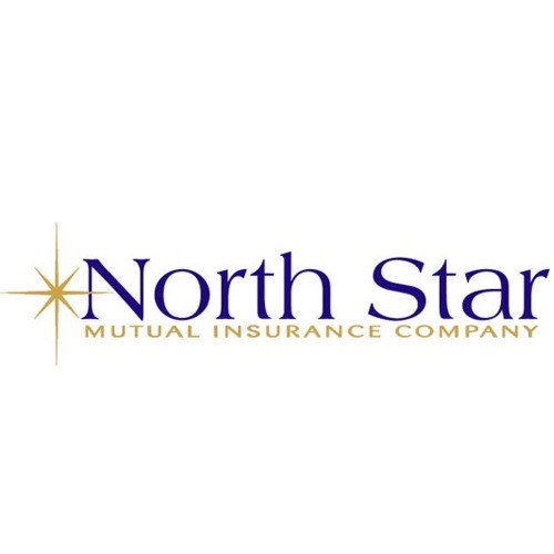 North Star Mutual Insurance Company Logo